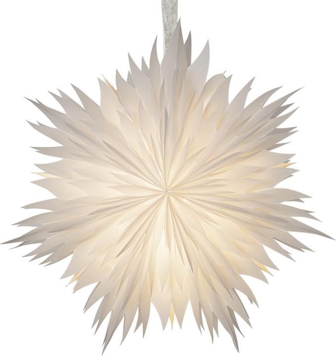 Actual product image Star Trading Paper star Dis