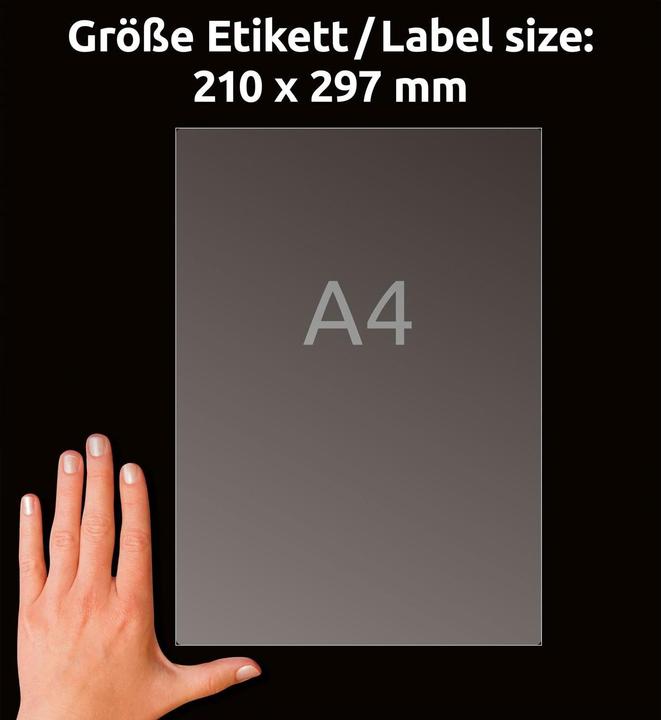 Immagine prodotto Avery Etichette universali J8567-25 Trasparente 210 mm x 297 mm