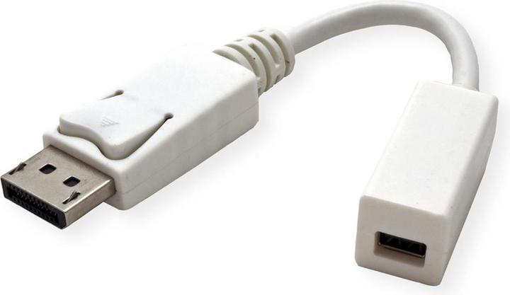 Actual product image Roline DP zu (Mini DP, 15 cm)