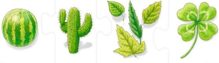 Actual product image Ravensburger Learn colours (24 pieces)
