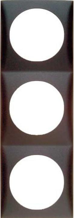 Actual product image Berker Frame