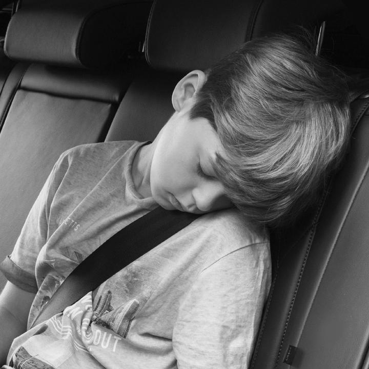 Immagine prodotto Sandini TravelFix (Cuscino per testa e collo)