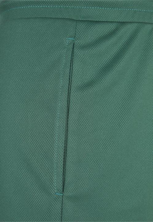 Image du produit Starter Team Mesh Shorts (M)