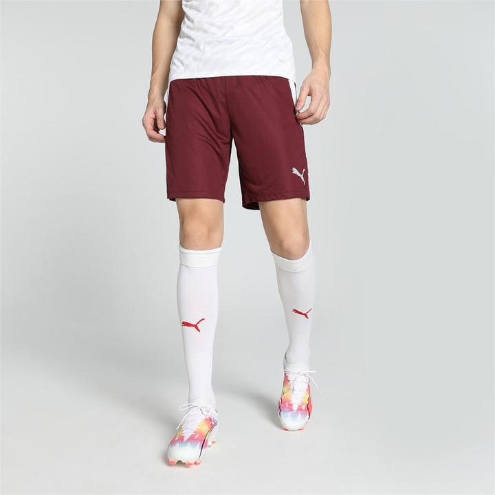 Image du produit Puma Short teamLIGA-704924 (L)