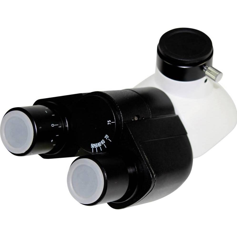 Kern Testa del microscopio OBB-A1341