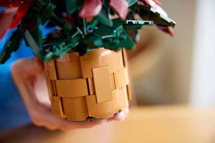 Immagine prodotto LEGO Stella di Natale (10370, LEGO Icons)