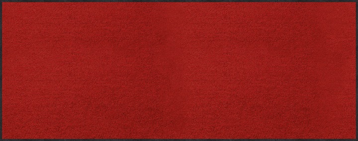 Rot