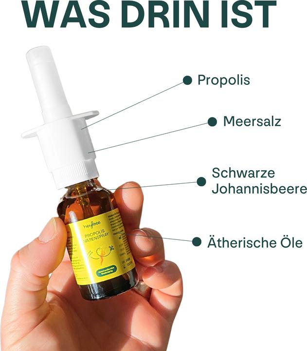 Produktbild Heybee Propolis Nasenspray (1 Stück)