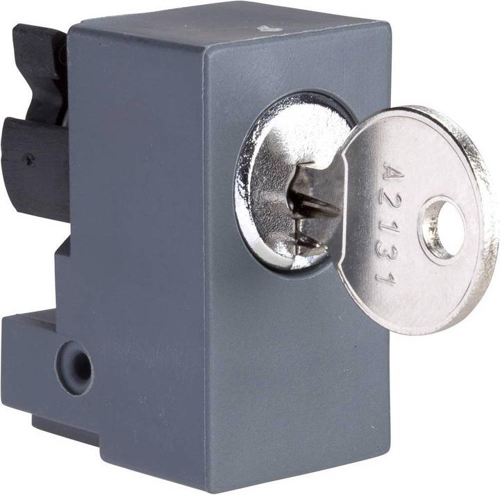 Actual product image Schneider Electric Cylinder lock