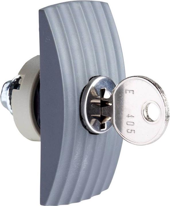 Actual product image Schneider Electric NSYML5SD Cylinder key