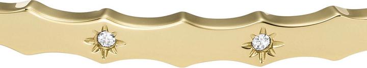 Immagine prodotto Fossil Sutton (17.50 cm, Acciaio inossidabile)