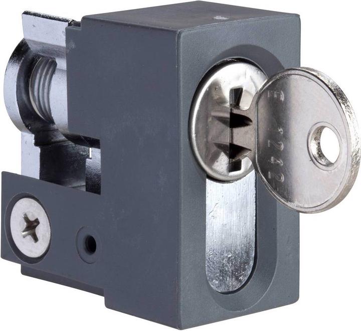 Actual product image Schneider Electric SF/SM JISlock