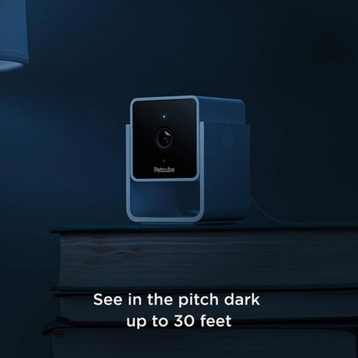 Image du produit Petcube Caméra pour animaux domestiques (Jouets avec herbe à chat)