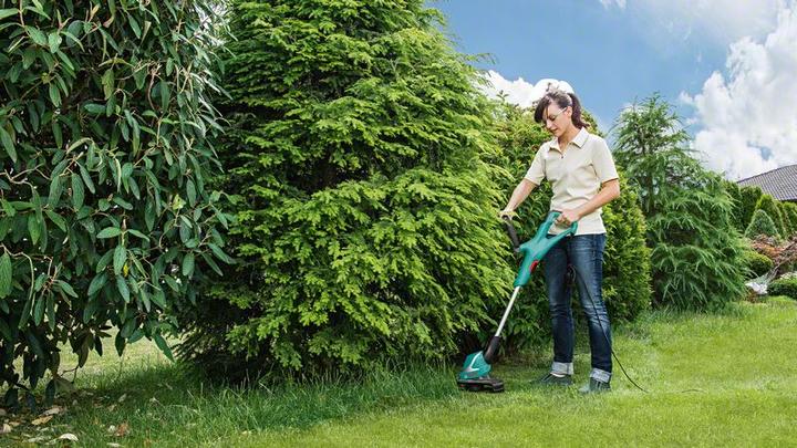 Actual product image Bosch Home & Garden Art 30 (Trim line)