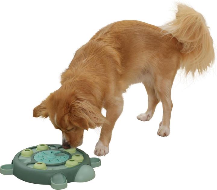 Actual product image Kerbl Turtle thinking and learning toy (Intelligence toy dog)