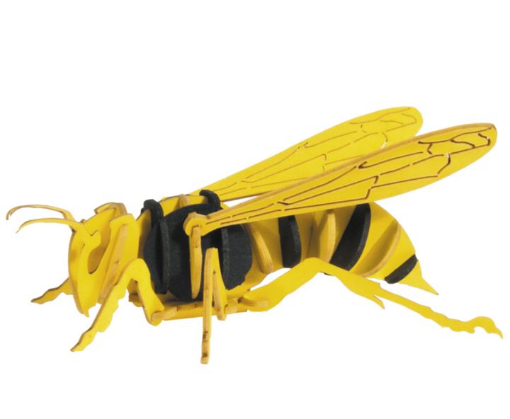 Produktbild Fridolin 3-D Papiermodell "Hornisse"