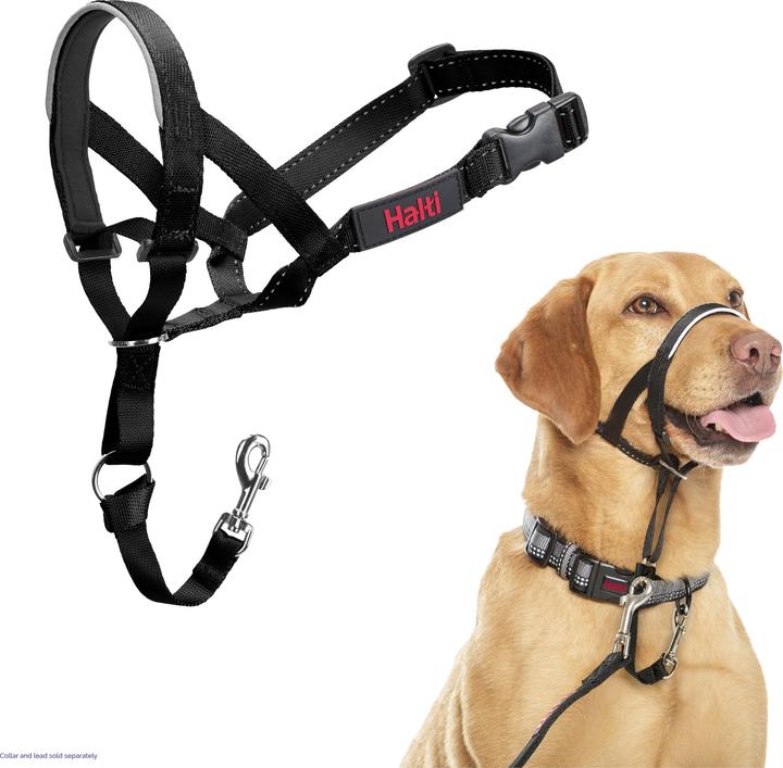 Actual product image Company of Animals Haiti (One size, Dog)