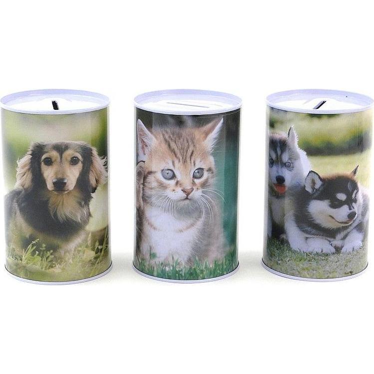 Adar, Salvadanaio, Sparschwein aus Metall MIX