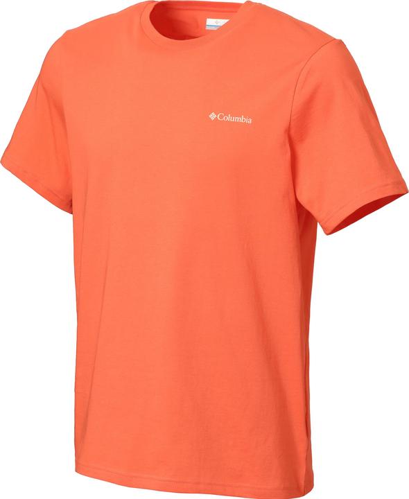 Orange, Sunscape, Zing