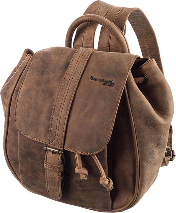 Image du produit Greenland Nature Montenegro City Sac à dos RFID en cuir 25 cm (5 l)