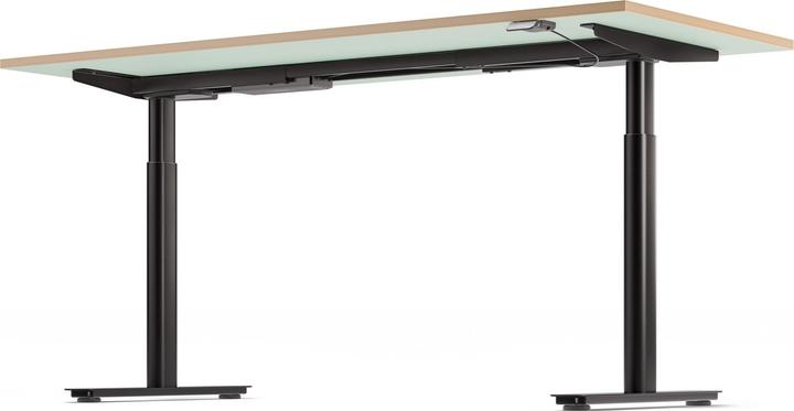 Actual product image ofinto Rise