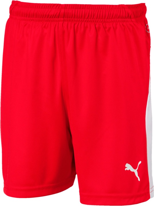 Puma Liga (176)