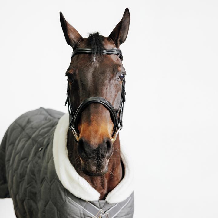 Immagine prodotto Fouganza Pelle di cavallo/pony Snaffle