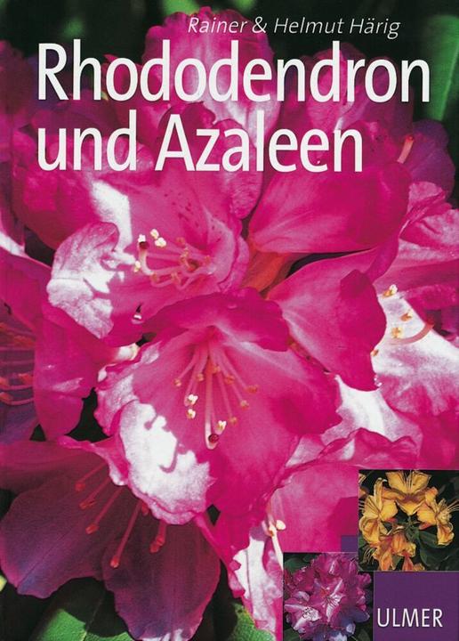 Produktbild Rhododendron und Azaleen (Deutsch, Helmut Härig, Rainer Härig, 2004)
