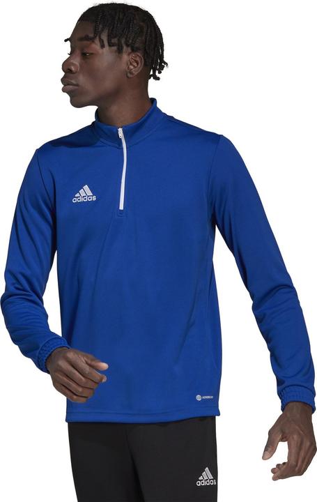 Actual product image Adidas Entrada 22 training jumper men (S)