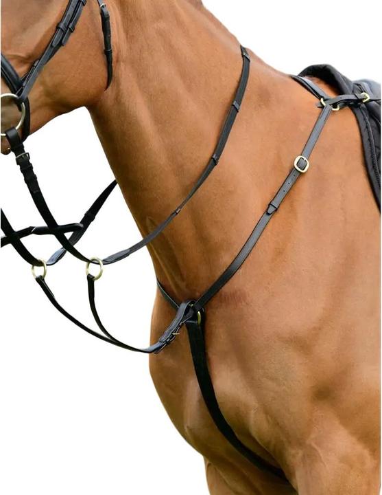 Image du produit Kincade - Plastron avec martingale de course CLASSIC