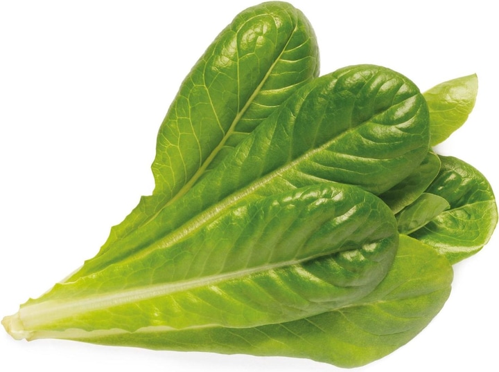 Immagine prodotto Click and Grow Lattuga romana (Germogli)