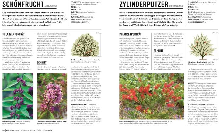 Produktbild Grünes Gartenwissen. Pflanzen richtig schneiden (Deutsch, Reinhard Ferstl, Stephanie Mahon, 2022)