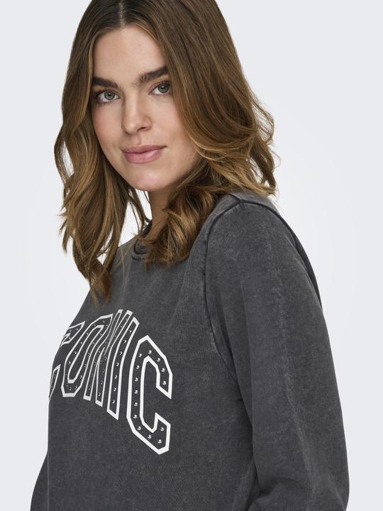 Produktbild Only Maternity OLMQUOTE Sweatshirt Sweat-Oberteil (S)