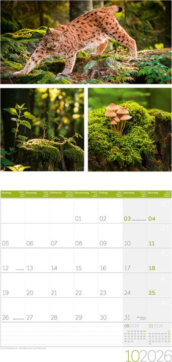 Image du produit Colours of Nature Kalender 2026 - 30x30 (30 x 30 cm, Couverture rigide, Français, Anglais, Italien)