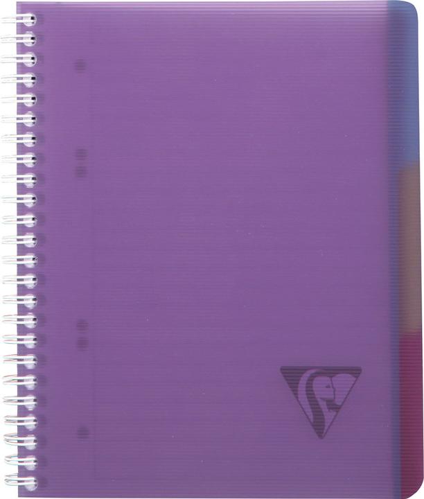 Actual product image Clairefontaine Linicolor Evolutive Book (A4+, Checked, Hardcover)