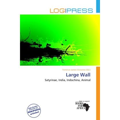 Large Wall, Fachbücher von Terrence James Victorino