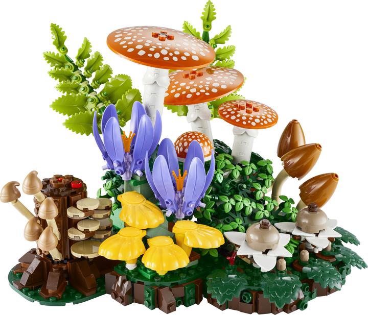 Produktbild LEGO 11505 Waldpilze (LEGO Botanicals)