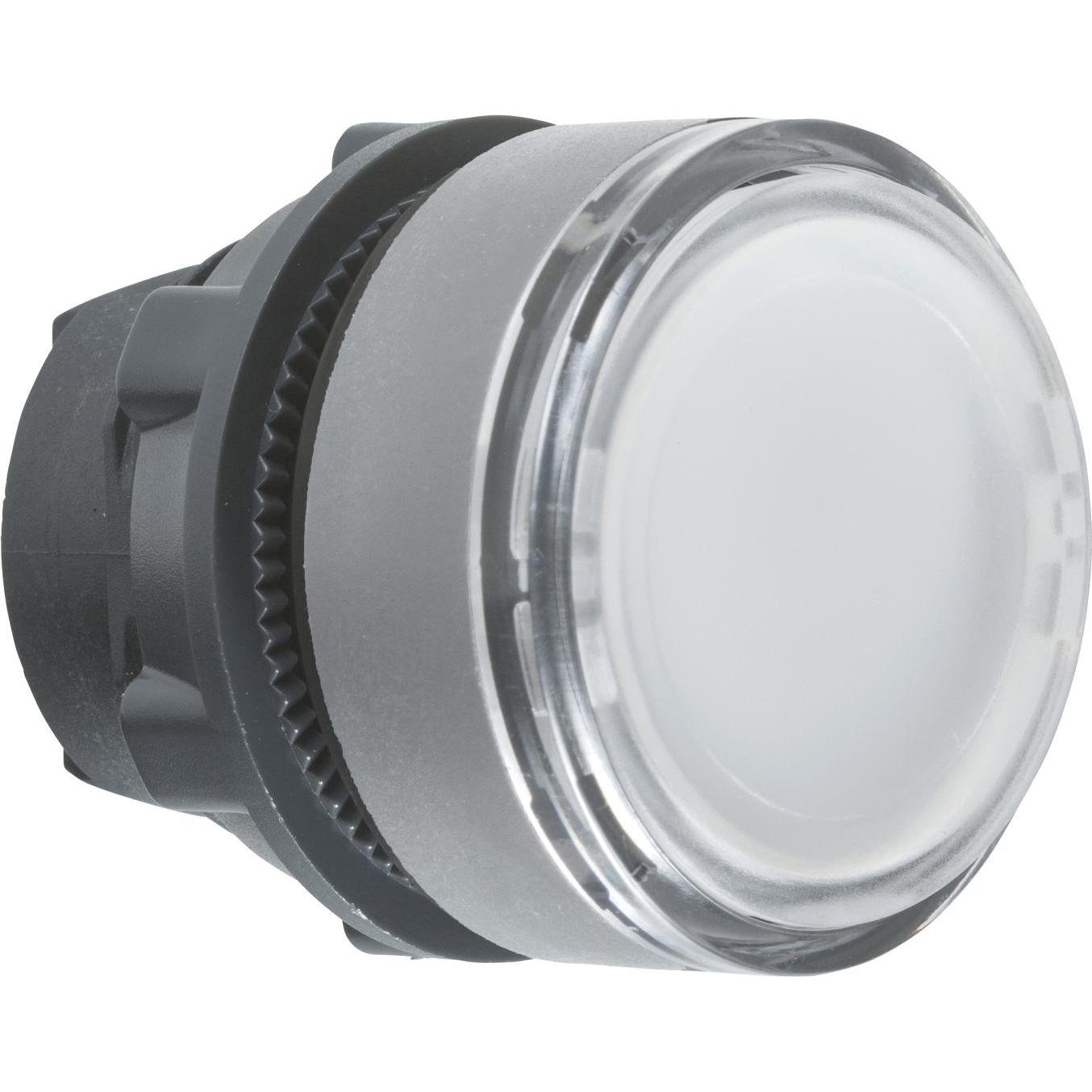 Schneider Electric Drucktaster, Kunststoff, Front, 22mm, ZB5AACUST05, Taster + Schalter, Weiss