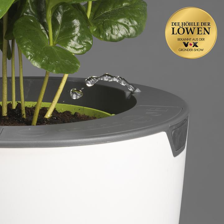 Produktbild Die Höhle der Löwen LazyLeaf