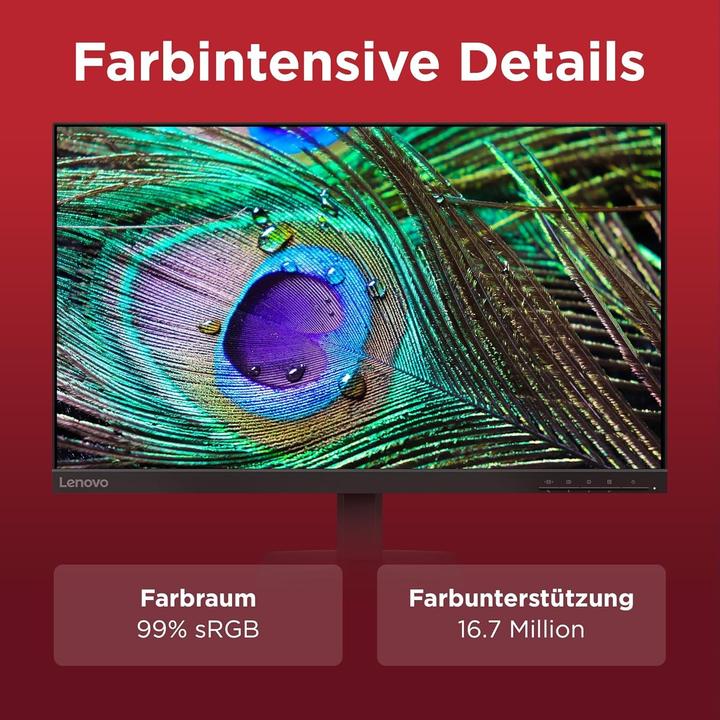 Produktbild Lenovo L24-4e (1920 x 1080 Pixel, 23.80")