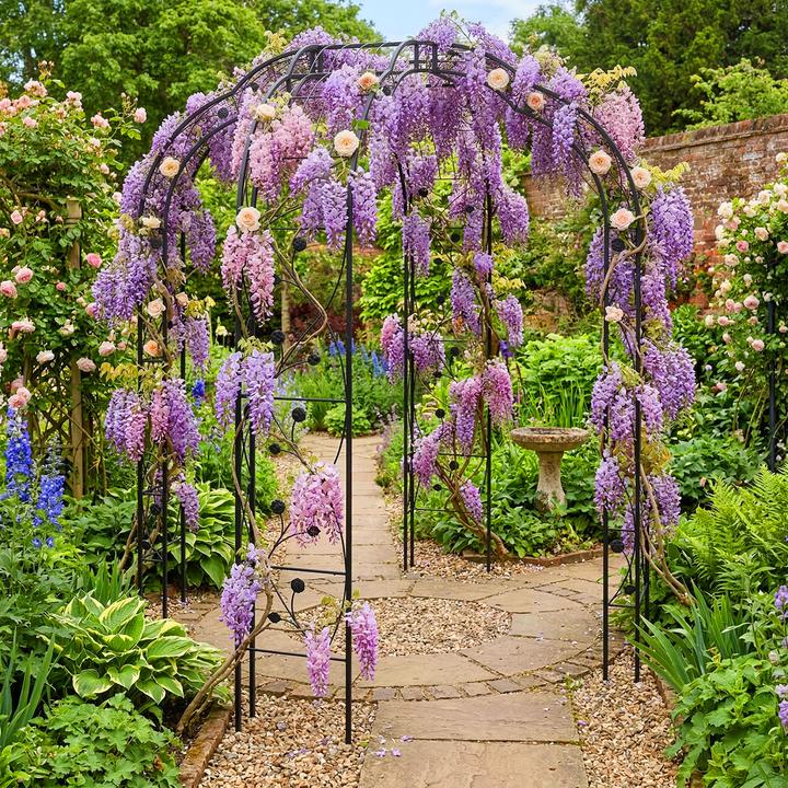 Immagine prodotto Relaxdays Padiglione per rose (199 cm, 199 cm)