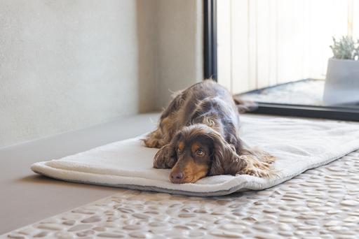 Actual product image Designed by Lotte Lounger cushion Gisel (Dog)