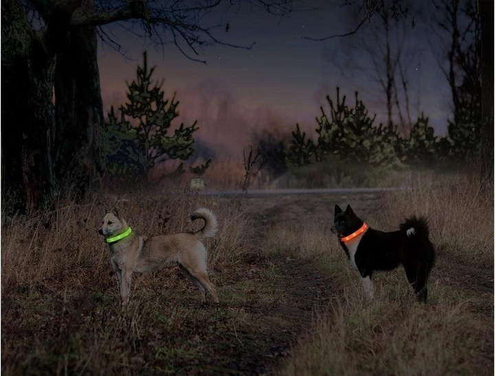 Image du produit Karlie Collier de chien à poils longs Visio Light Led (Chien, Promenade)