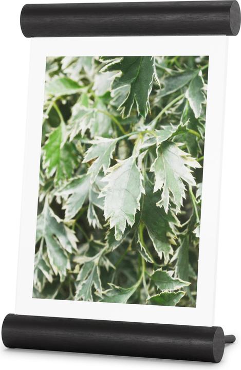 Immagine prodotto Umbra Scroll (13 x 18 cm)