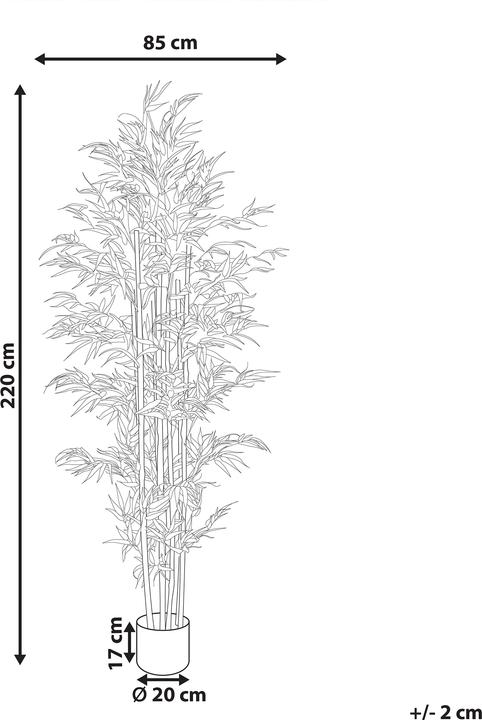 Immagine prodotto Beliani Bamboo (220 cm)