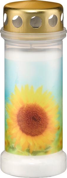 Produktbild dm Profissimo Grabkerze Sonnenblume (1 Stk.)
