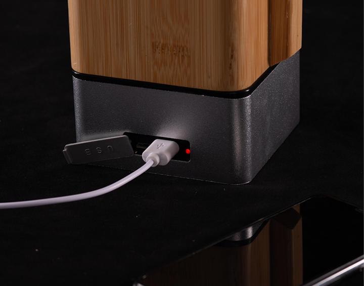 Actual product image Wild Land Bamboo Latern