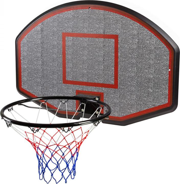 Actual product image Dema Basketball board with ring and net