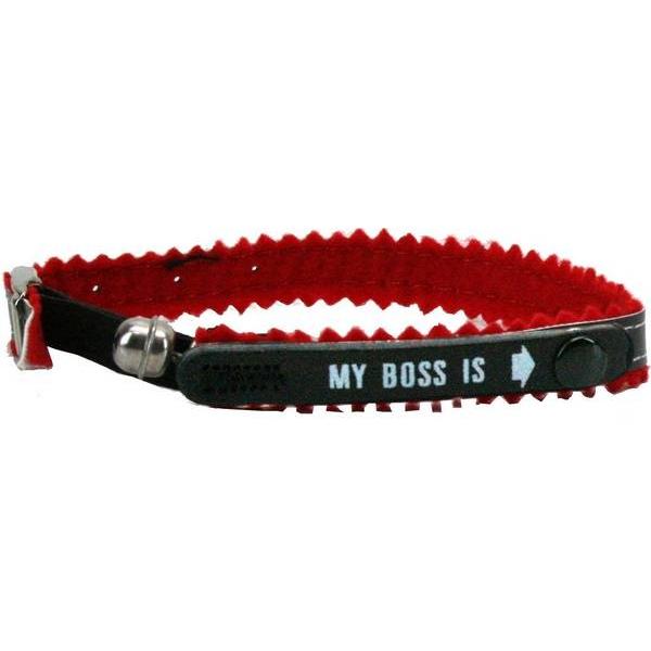 Thumbnail - Nobby Adress-Katzenhalsband My Boss is (23, 24, 25, 27, 28, 29, 30, Katze), Halsband + Leine