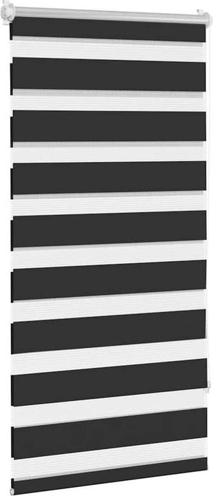 Image du produit vidaXL Doppelrollo (60 x 120 cm)